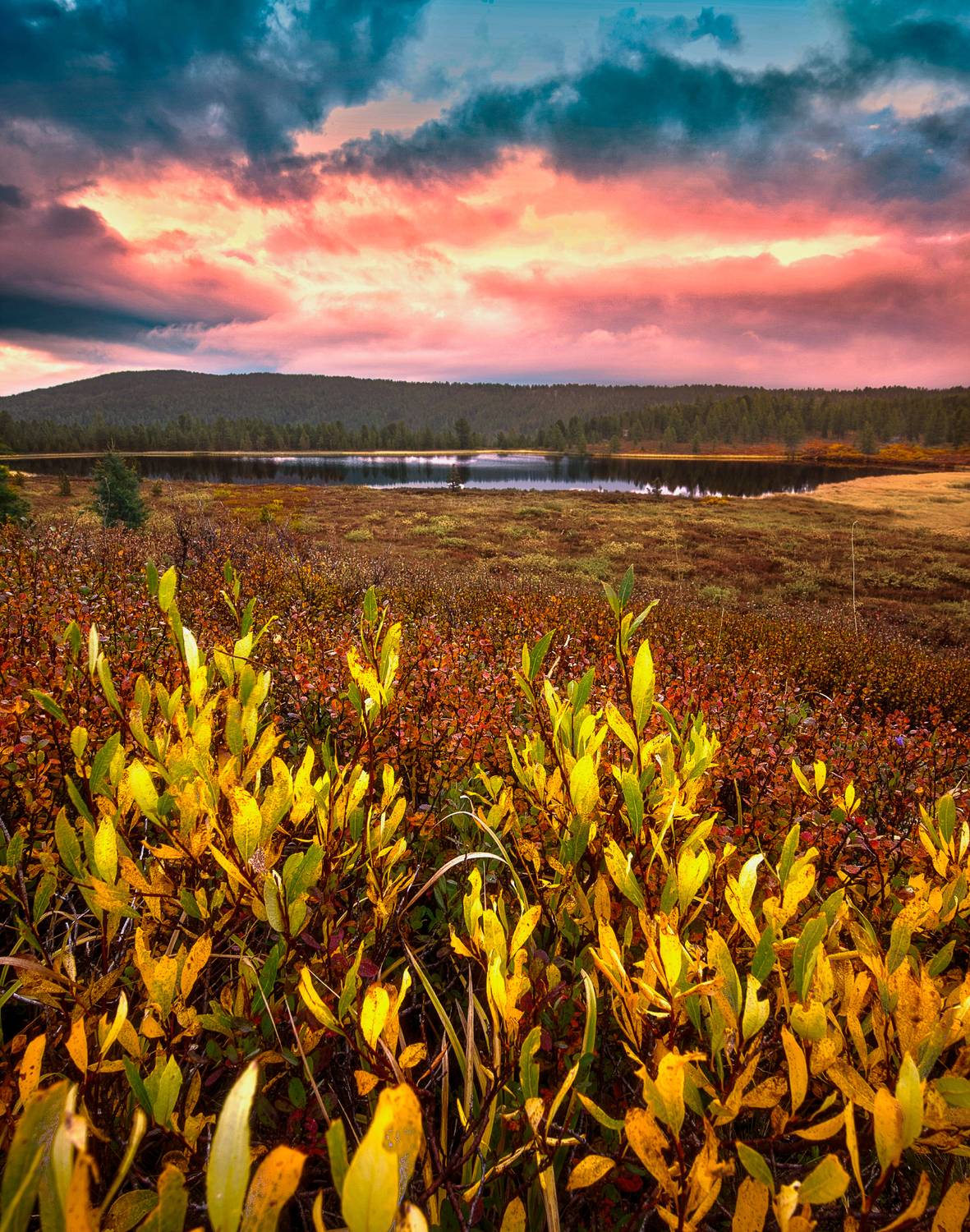 алтай, горы, осень, природа, Andrey