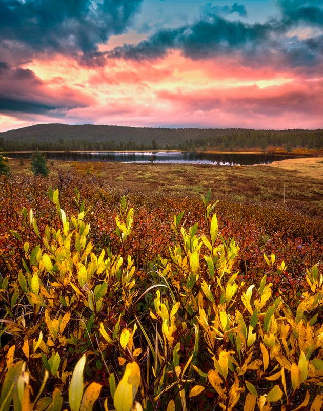 алтай, горы, осень, природа Алтайские краски фото превью