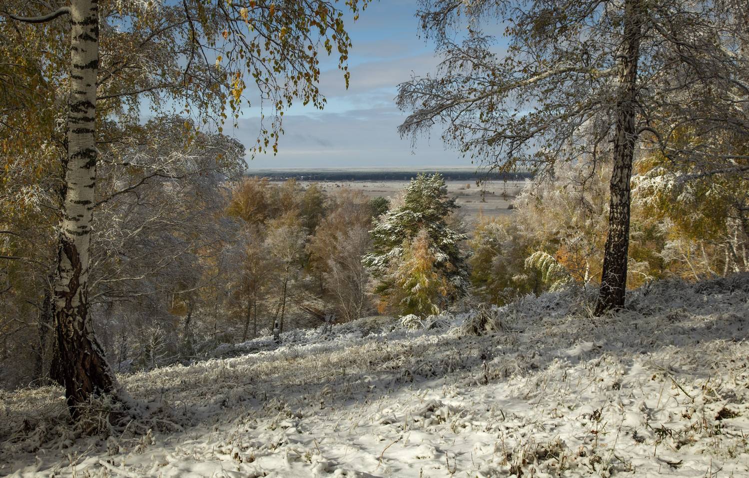 , Алексей Хахлов