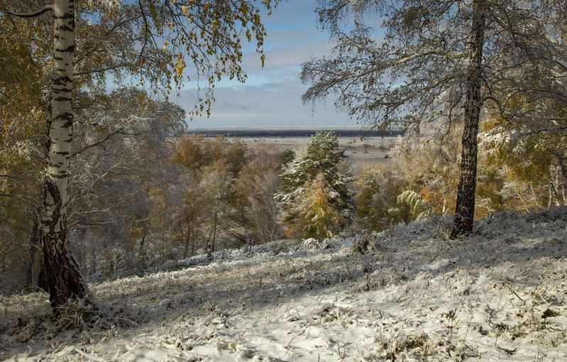 ... фото превью