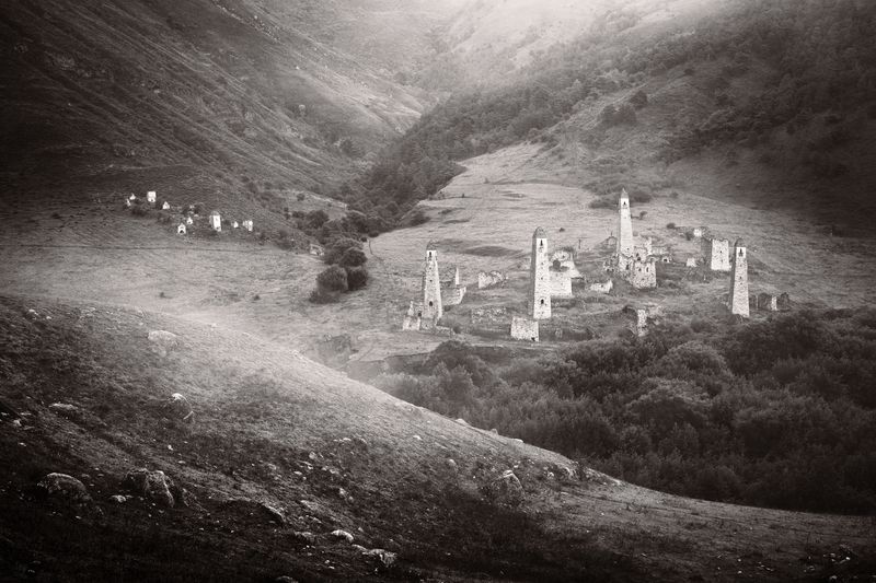 Targim фото превью