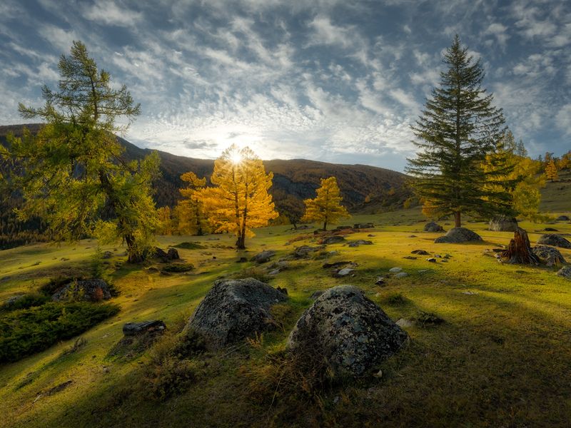 Сад камней фото превью