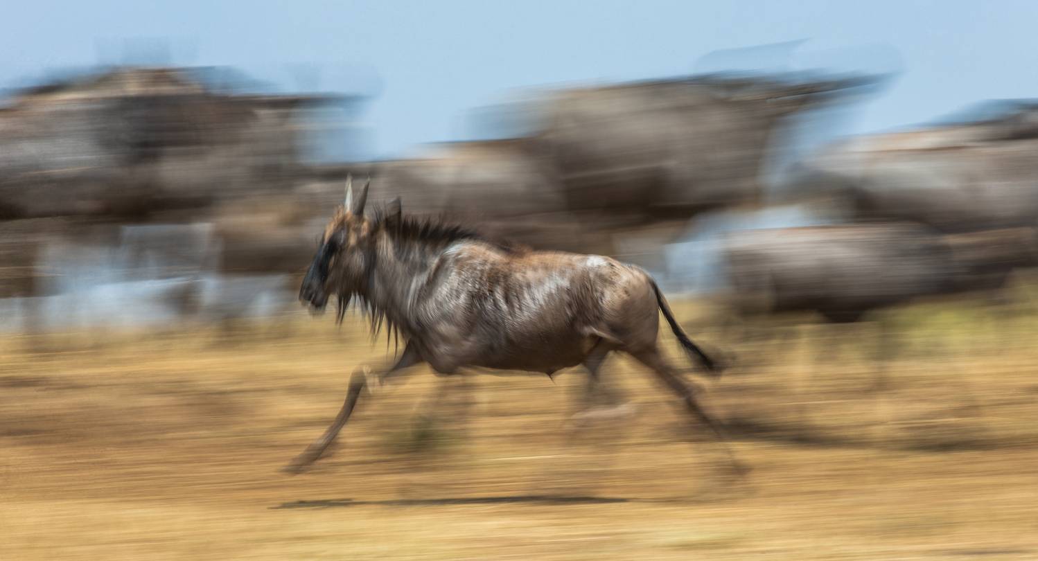 , Гудков Андрей