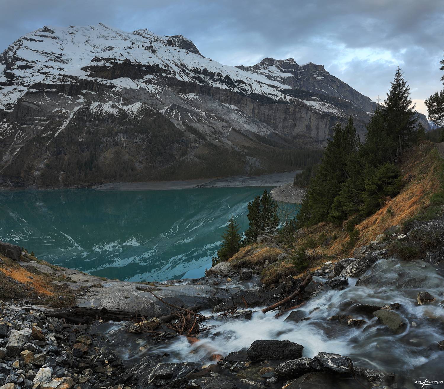swiss, Матвеев Николай