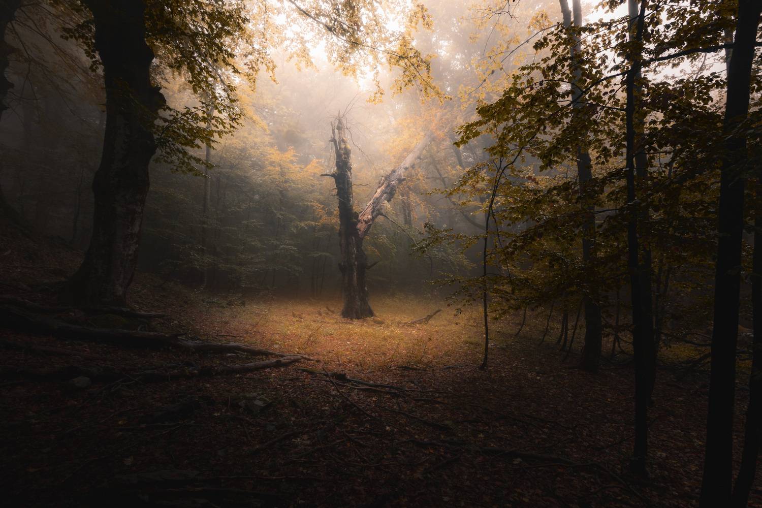 , Пенов Пламен