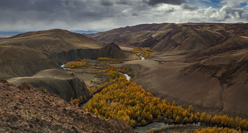 алтай, осень, долина, река, горы Осень в долине фото превью