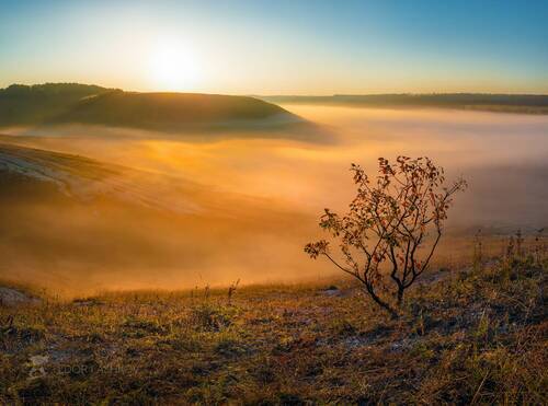 Туманный рассвет