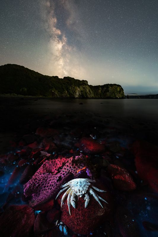 Ночь в океанской бухте. Камчатка фото превью