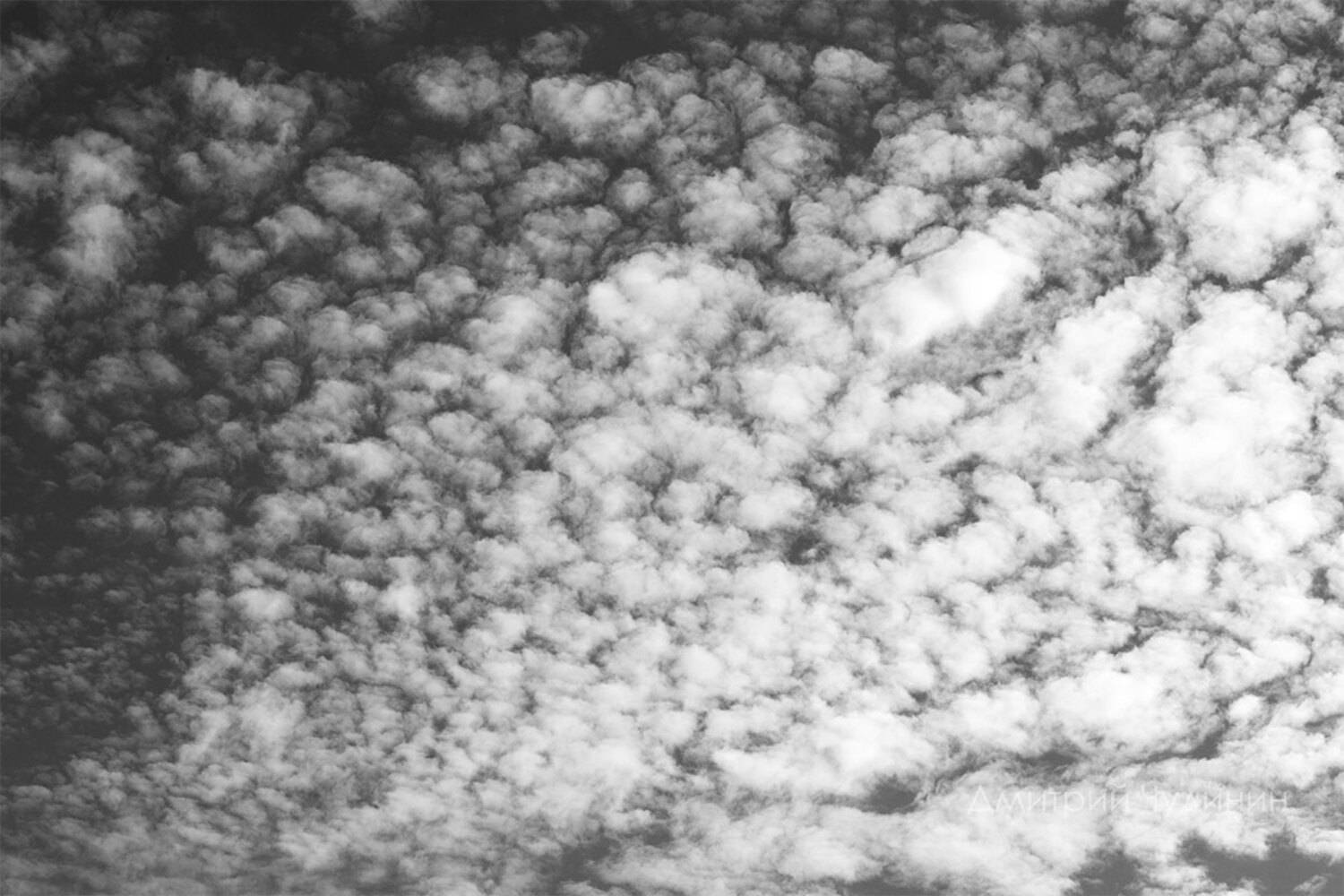 , Чудинин Дмитрий