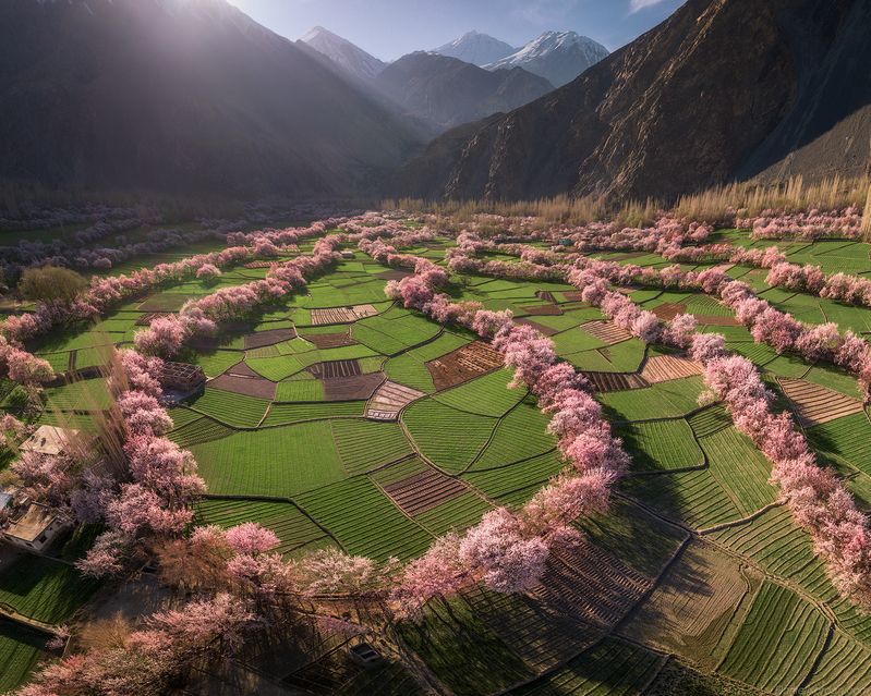 Pakistan фото превью