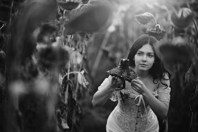 страна чудес фото превью