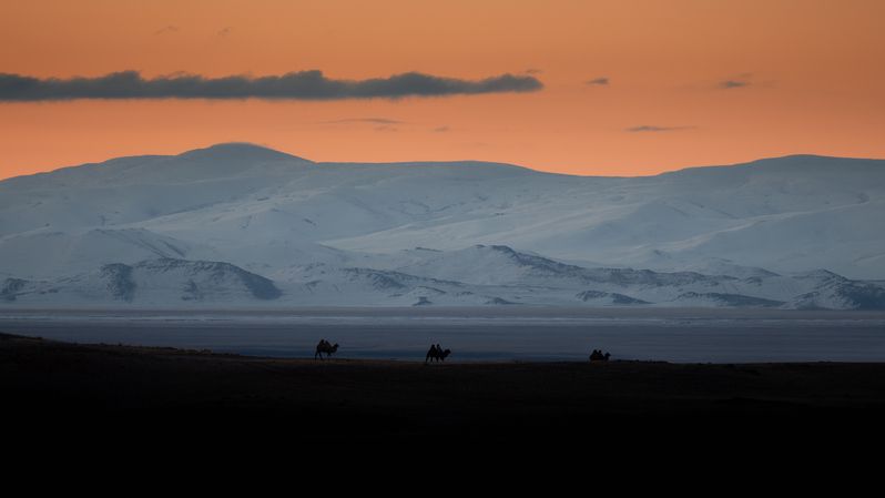 Уходящий вечер. Алтай 2024. фото превью