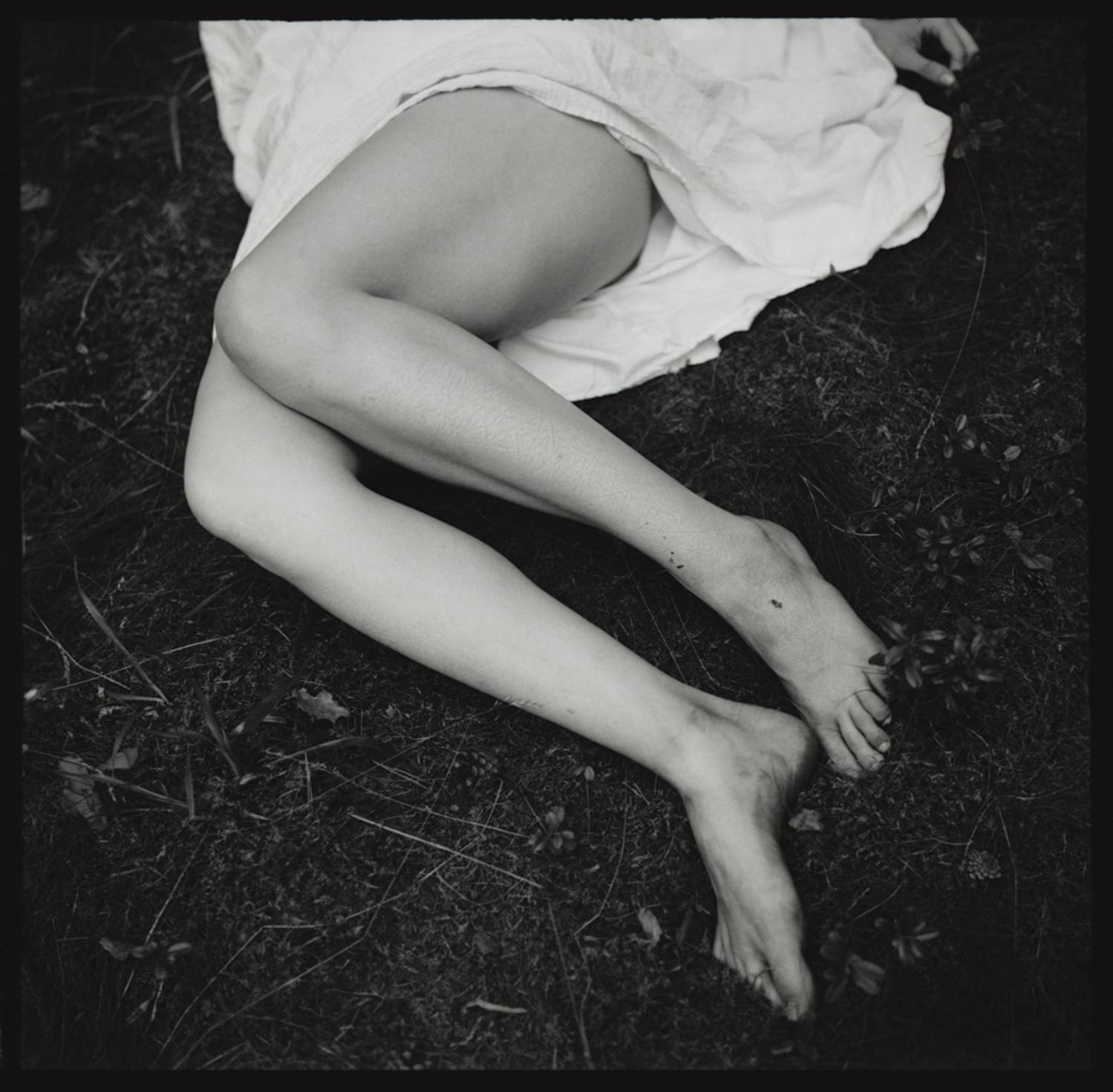 , Александр Савельев