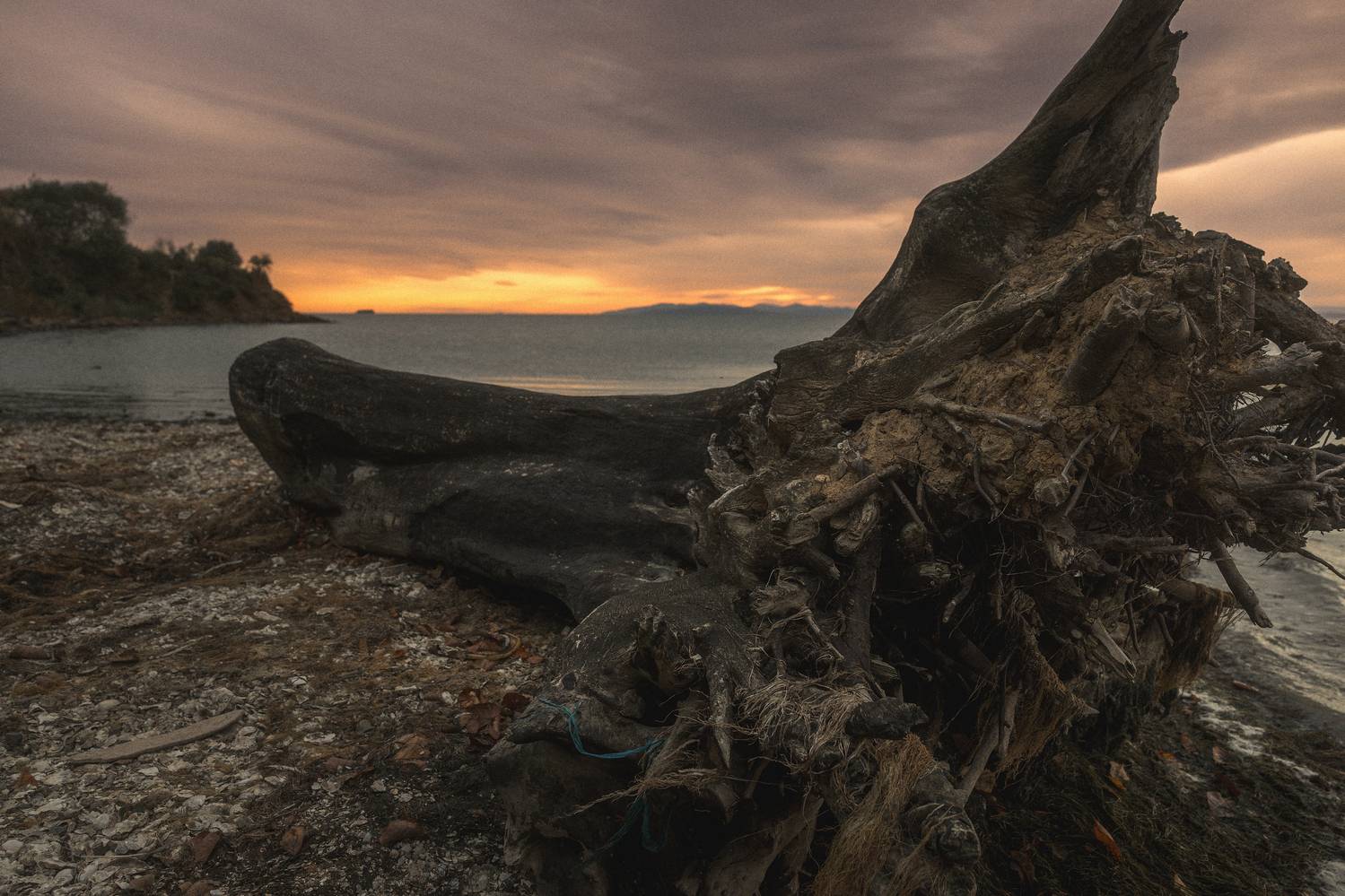 , Сергей Лучин