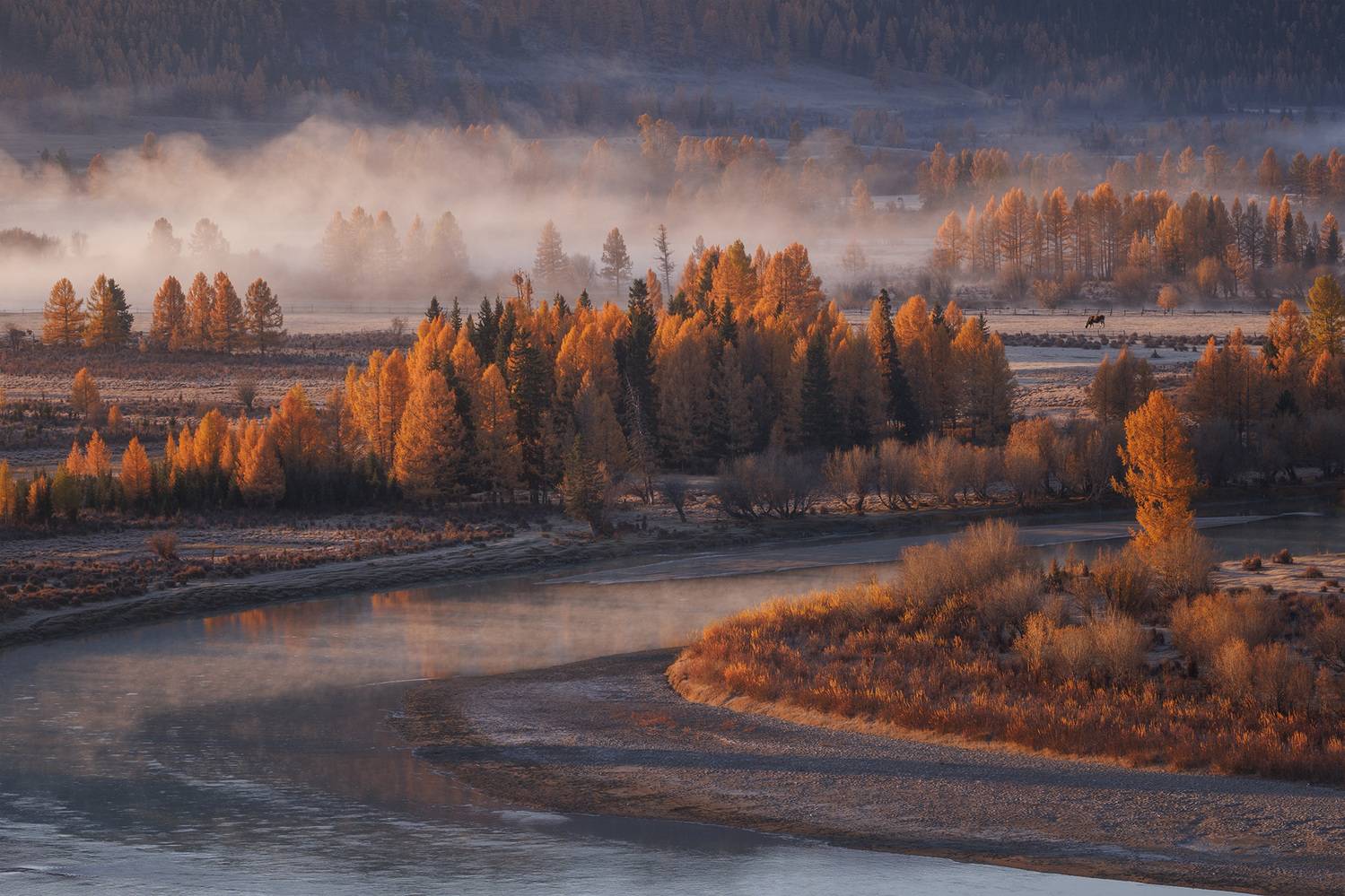 алтай, горный алтай, утро, туман, лиственницы, Морозов Сергей