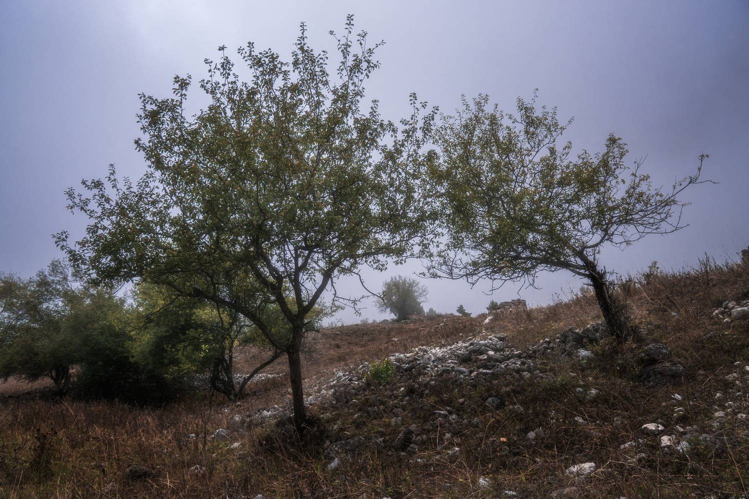 landscape, caucasus, mountines, ингушетия, пейзаж, горы, кавказ, Толстоноженко Илья