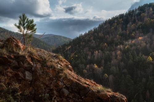 Осень на Красноярских Столбах