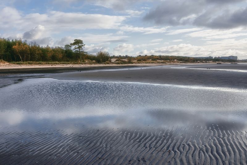 осень, сентябрь, белое море, вода, отлив, берег, побережье, песок, деревья, небо, облака остров Ягры, побережье фото превью