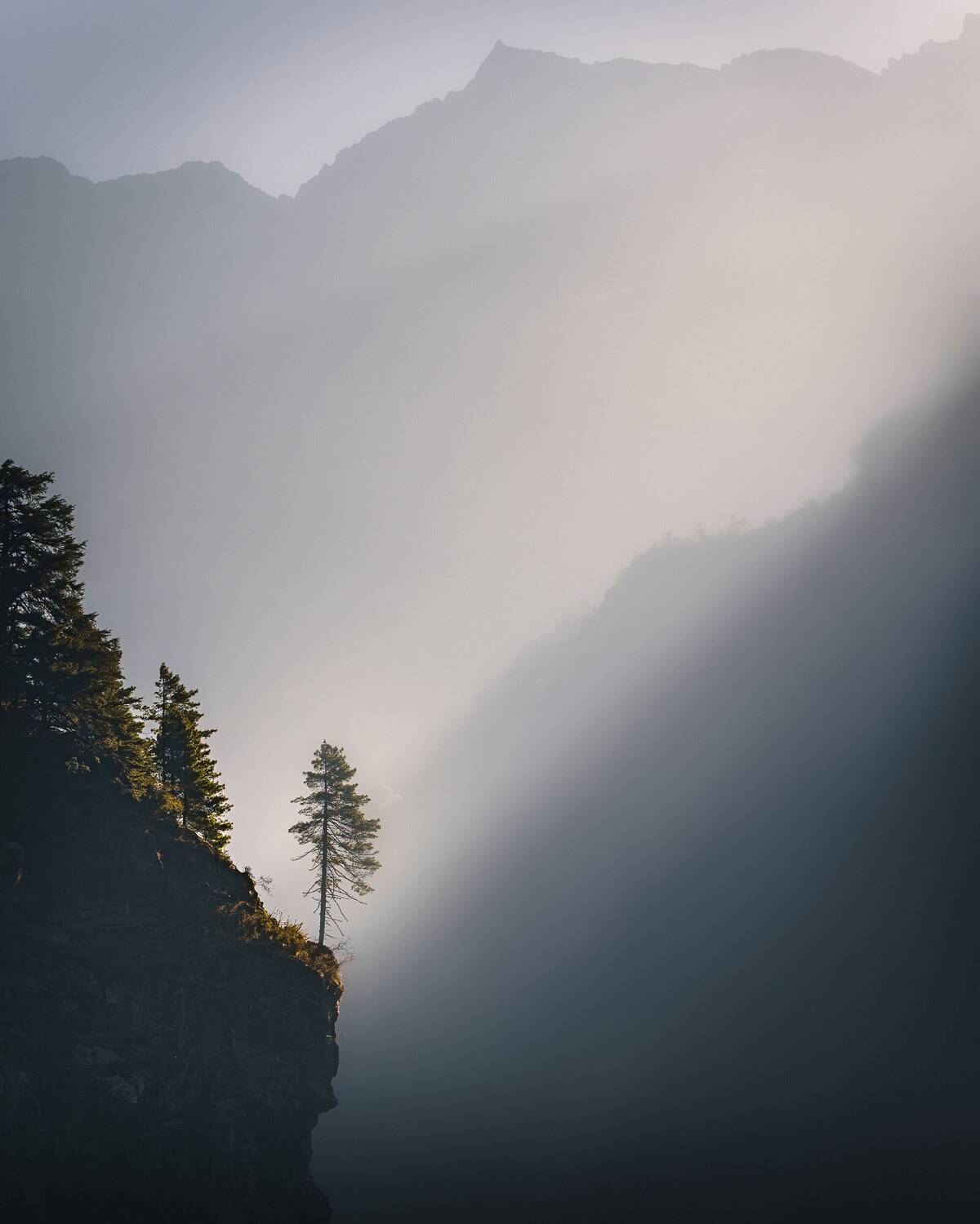 , Купчиков Илья