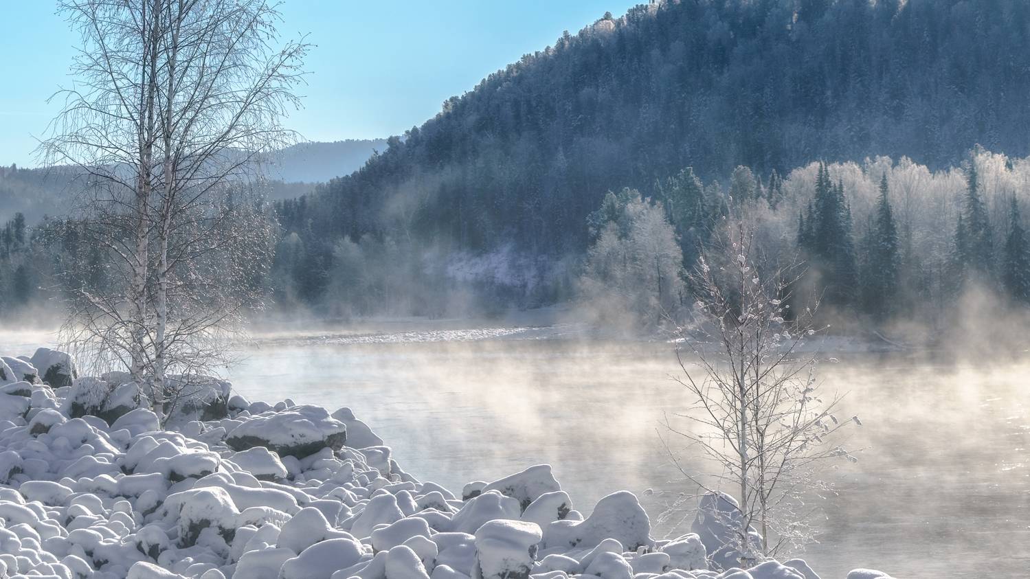 , Шварцман Евгений