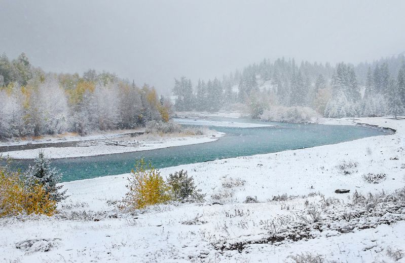 алтай, осень, снег, река, горы, вода, чуя Холодная осень фото превью