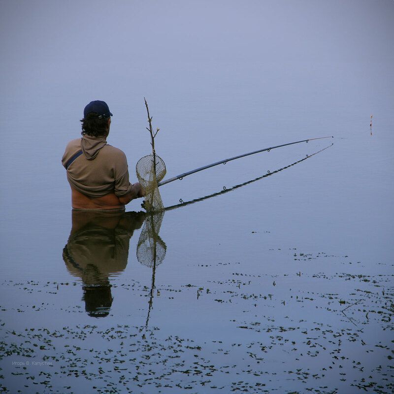 *** фото превью