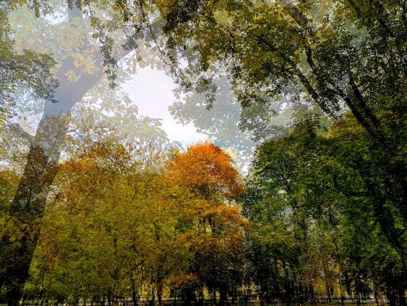 . фото превью