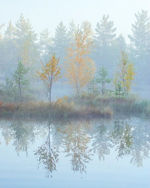 Осенняя туманность фото превью