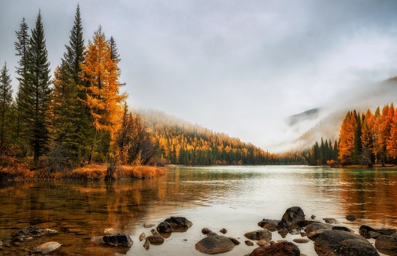 горный алтай, осень, река бара, река аргут, туманное утро Спускался утренний туман... фото превью