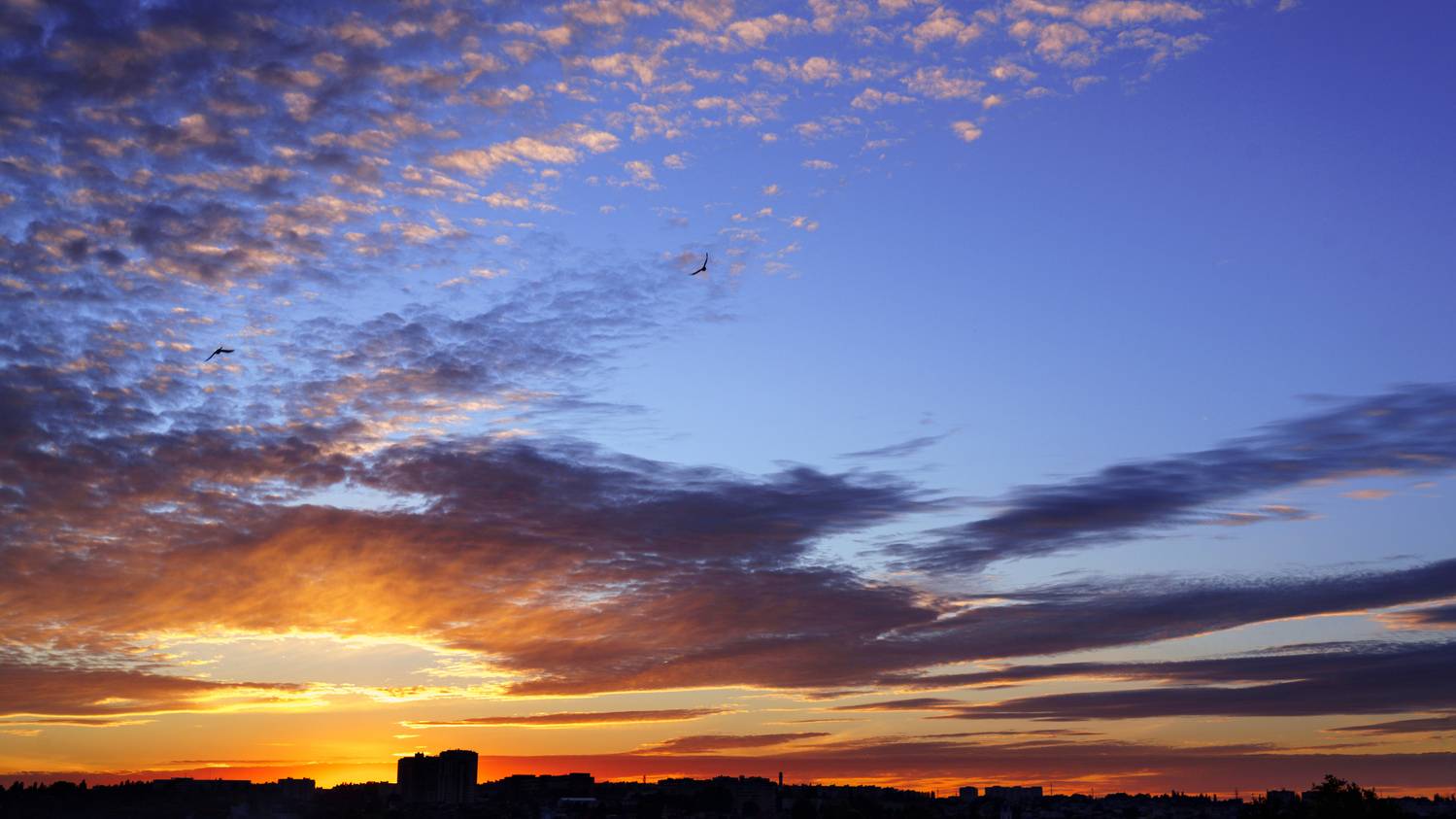 , Вертиков Юрий