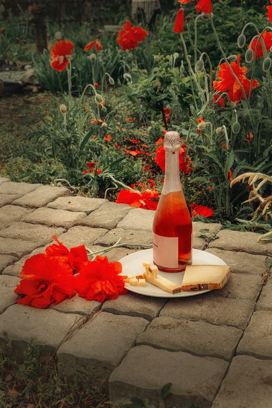 маки сыр игристое вино шампанское Лето фото превью