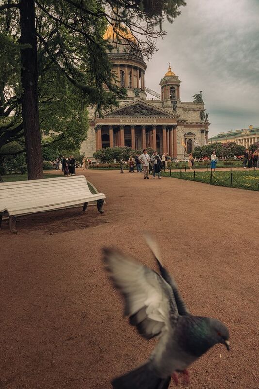 Исаакиевский сквер собор Санкт-Петербург Исаакиевский сквер фото превью
