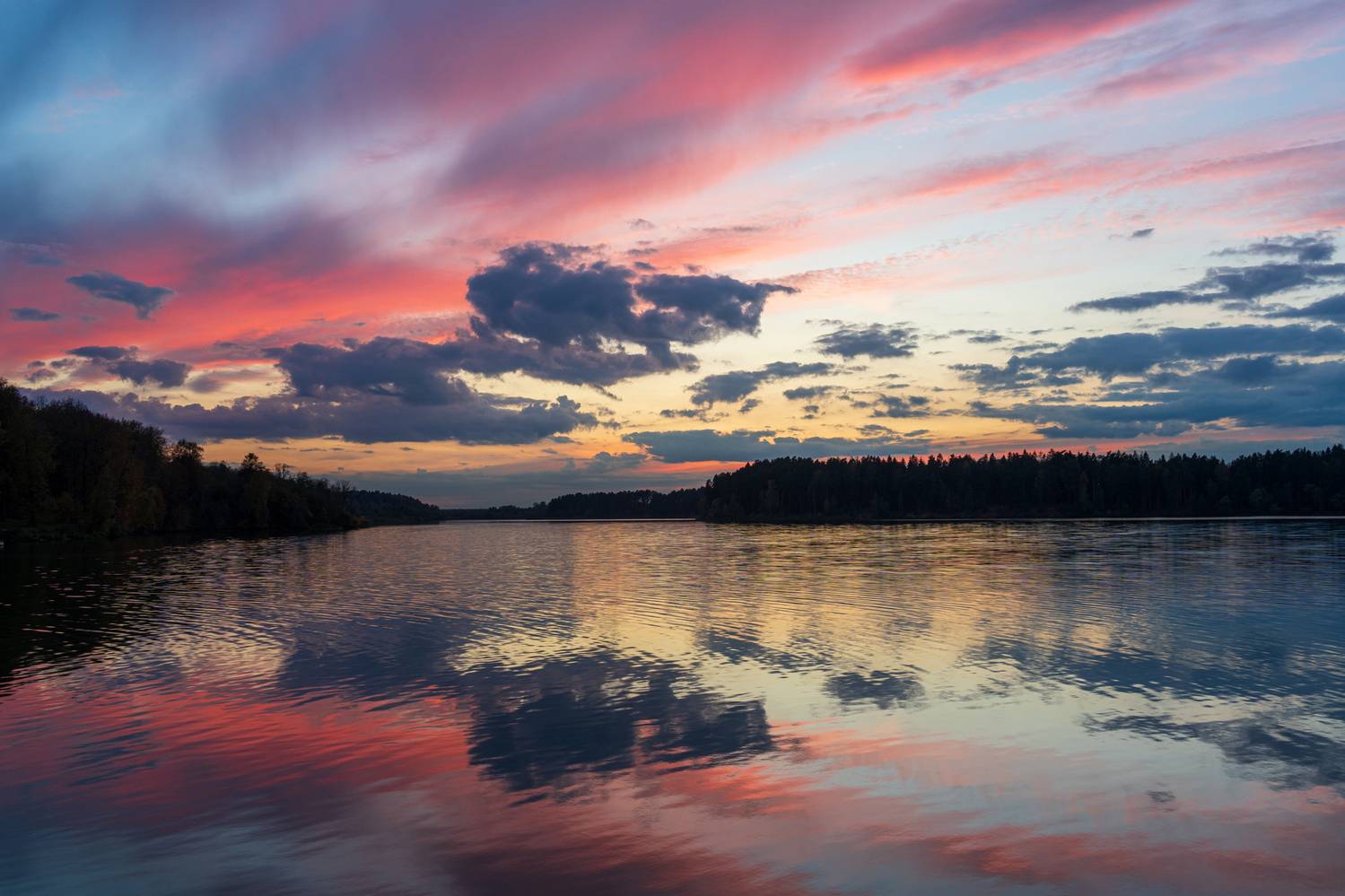 , Добродий Михаил