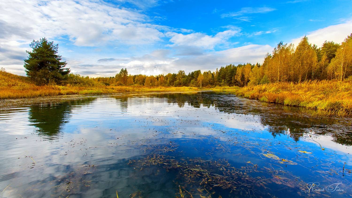 , Фотов Ренат