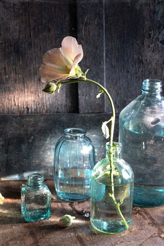 Натюрморт с мальвой фото превью