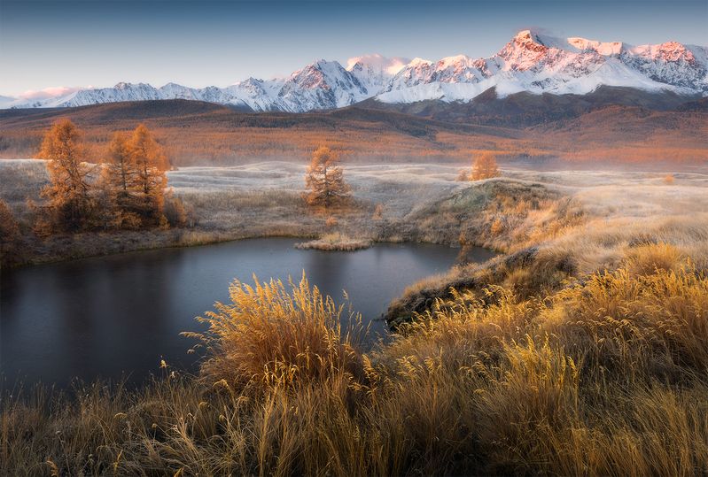 алтай, утро, озеро, вода, холод, горы, лиственницы Утро на озере фото превью