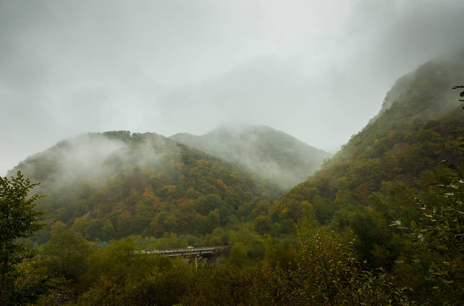 , Табуев Батраз