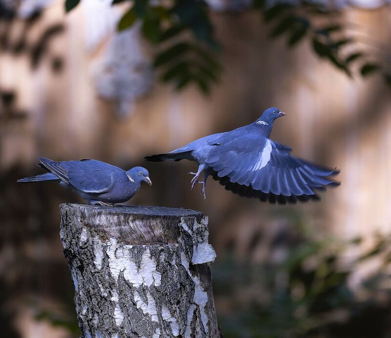 Взлётная площадка фото превью