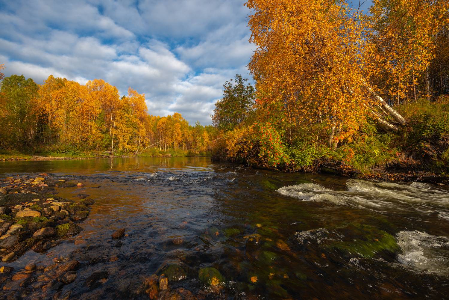 север, кольский, заполярье,, Роман Горячий