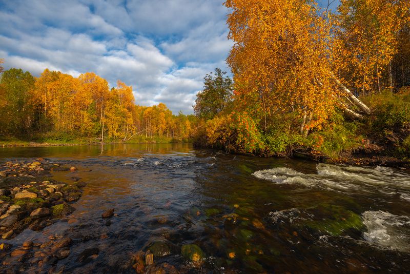 север, кольский, заполярье,  фото превью