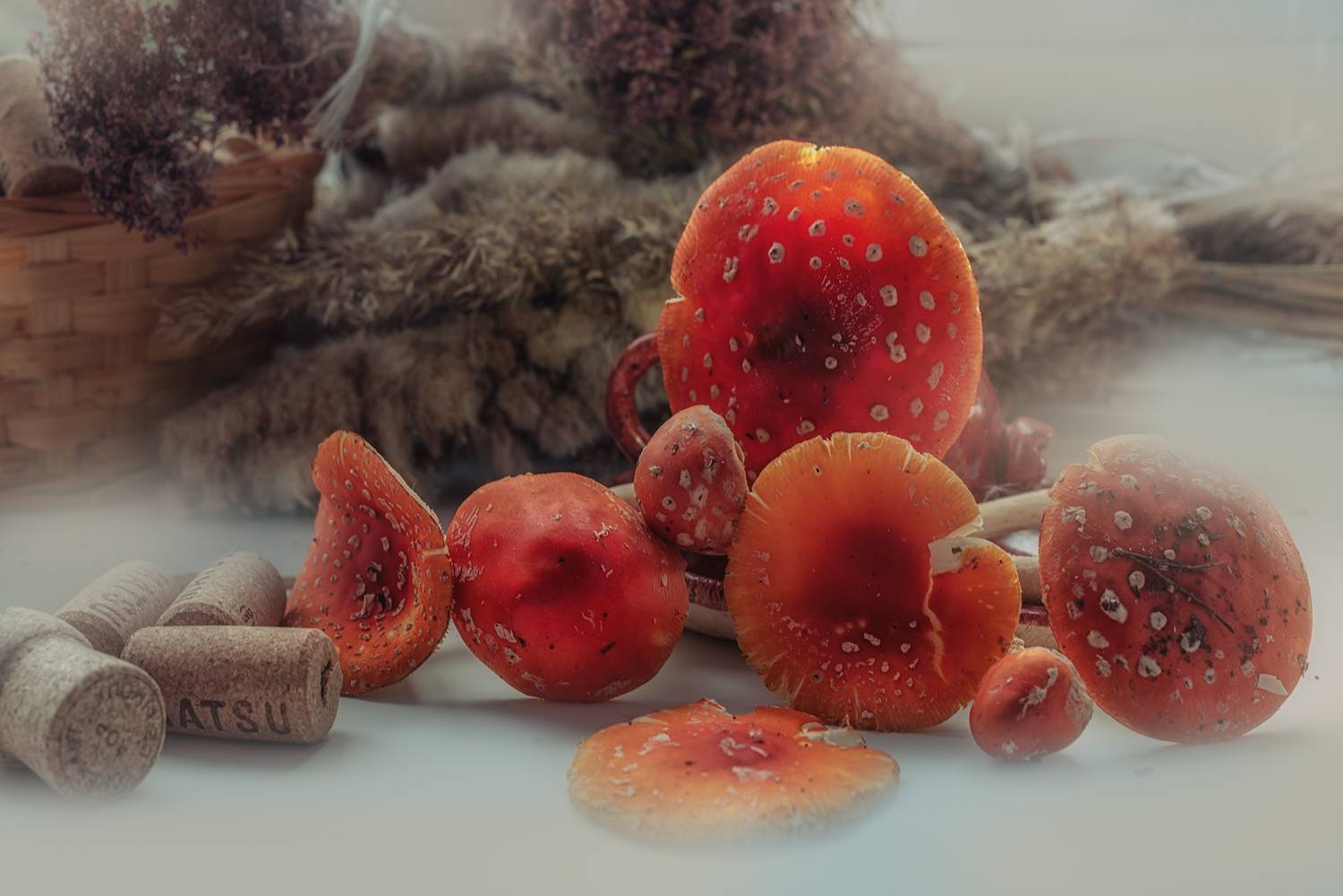 мухомор,  Мария