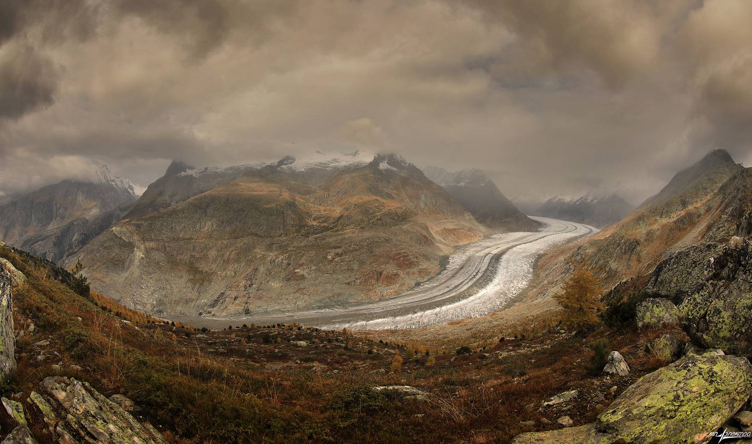 swiss, Матвеев Николай