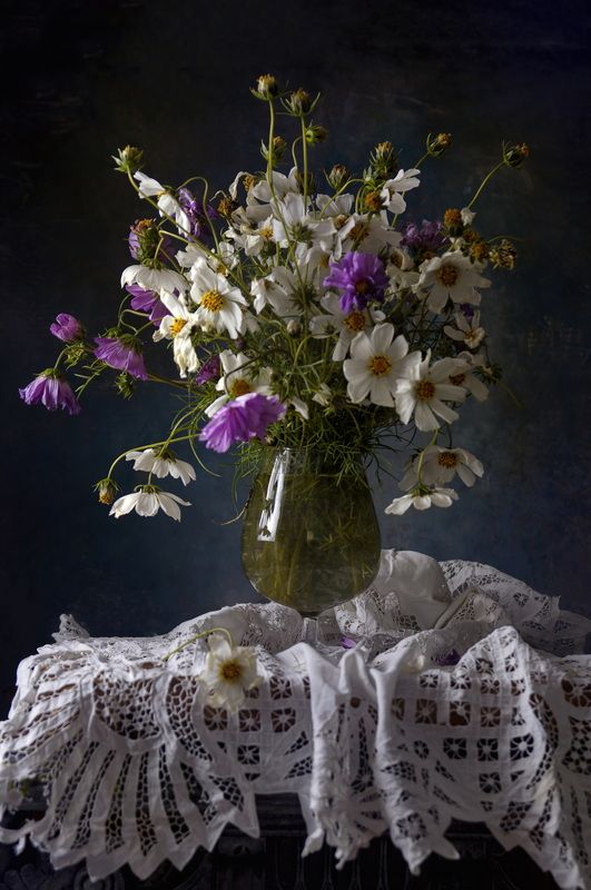 Октябрьские Космеи фото превью