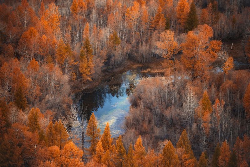 *** фото превью