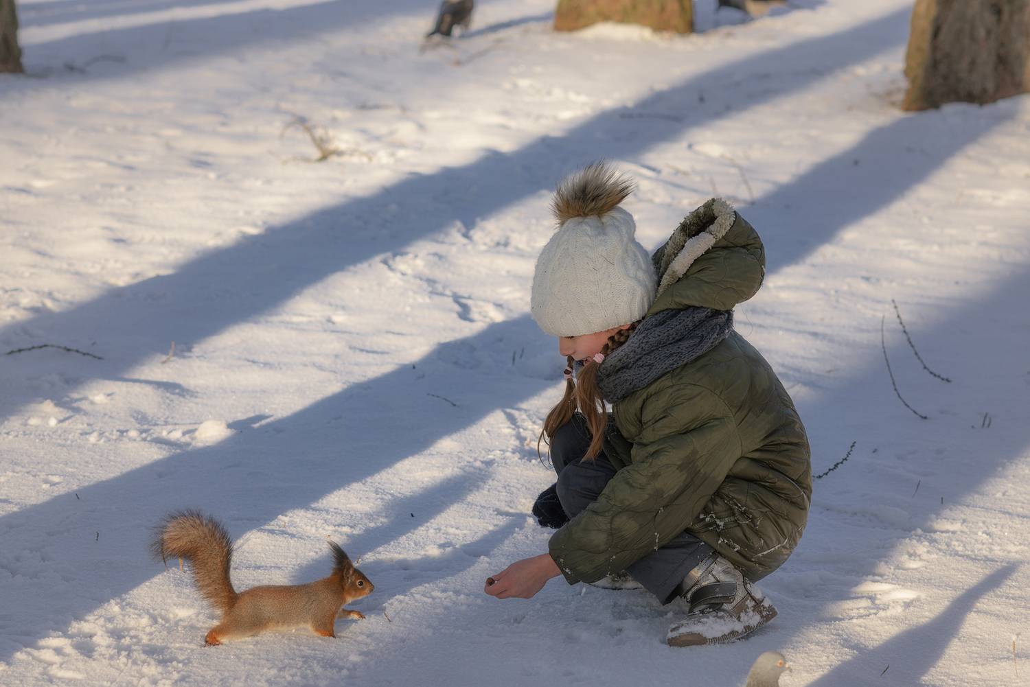 белка ребёнок кормление зима,  Мария