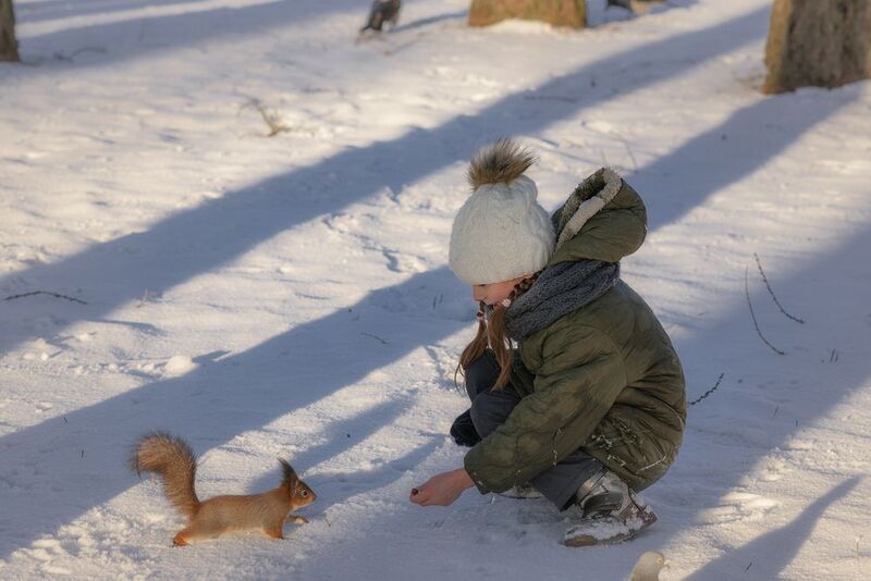 белка ребёнок кормление зима Покормить белку фото превью