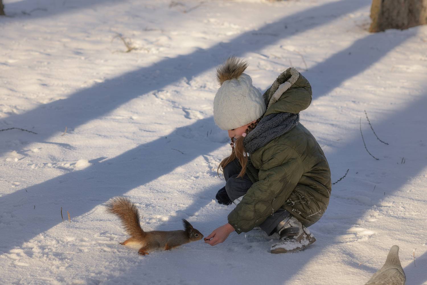 белка ребёнок кормление зима,  Мария