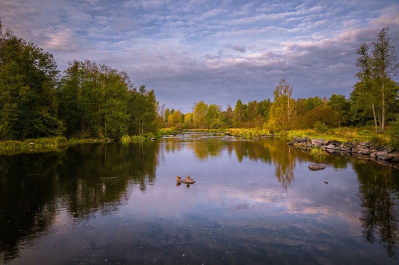 река вуокса приозерск осень Начало октября. фото превью