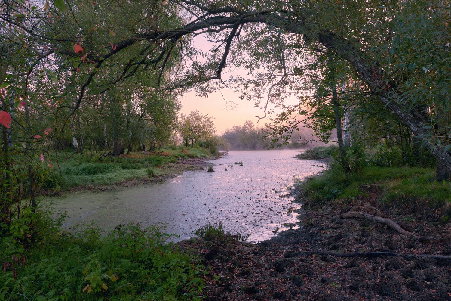 , Роман Лушпа