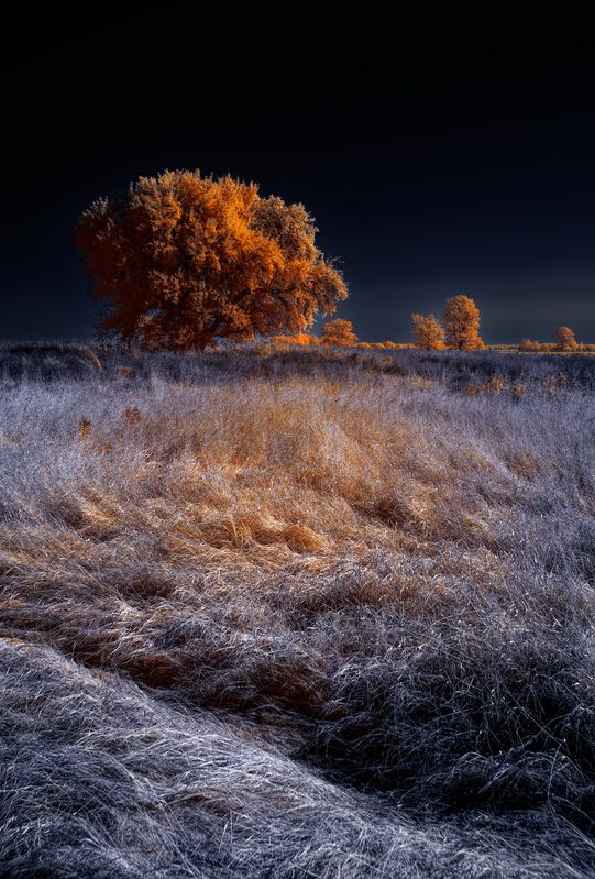 infrared, ик-фото, инфракрасное фото, инфракрасная фотография, пейзаж, осень Ветренно фото превью